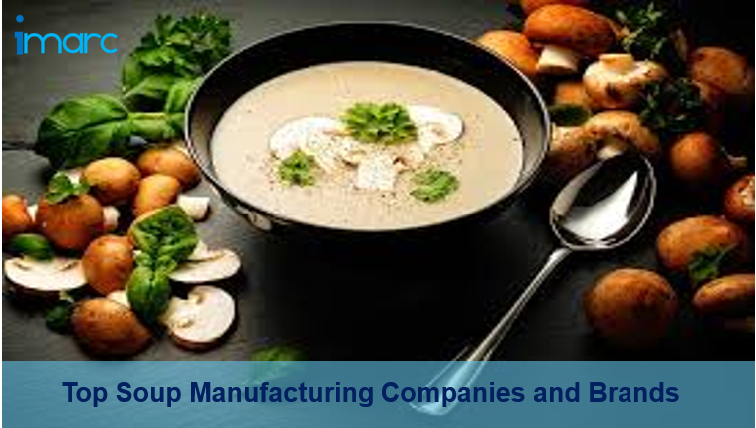 top-soup-companies-and-brands-worldwide-imarc-group